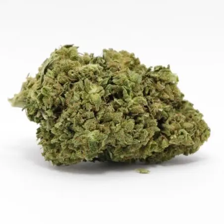 cbd-flower-wholesale-tropical-punch-greenhouse-1