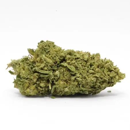 cbd-flower-wholesale-gelato-cake-greenhouse-1