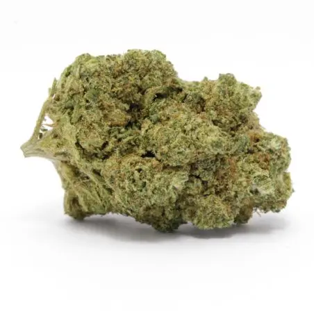 cbd-flower-wholsale-diamond-og-indoor-hydro-1