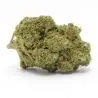 cbd-flower-wholsale-diamond-og-indoor-hydro-1 cbd-flower-wholsale-diamond-og-indoor-hydro-1
