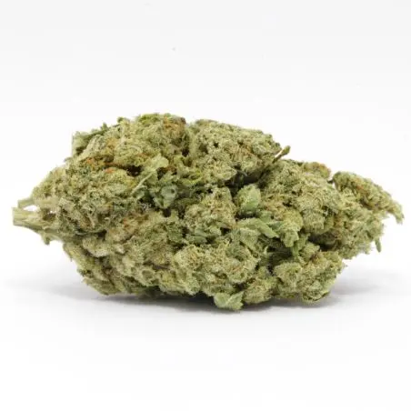 cbd-flower-wholesale-amnesia-us-indoor-hydro-1