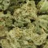 cbd-flower-wholesale-amnesia-us-indoor-hydro-2 cbd-flower-wholesale-amnesia-us-indoor-hydro-2