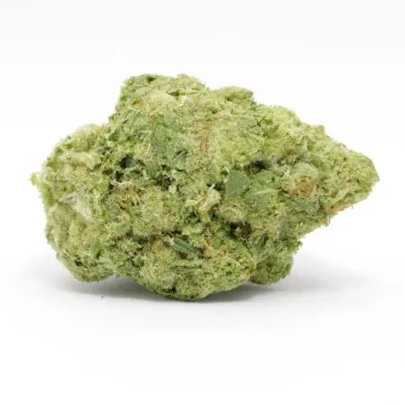 cbd-flower-wholesale-super-lemon-freeze-indoor-hydro-1